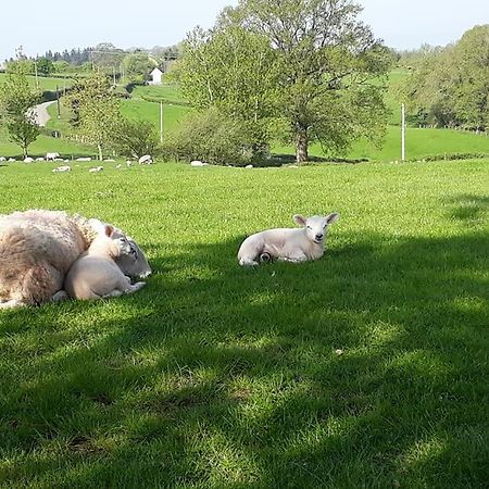 Ewe Retreat Shepherds Hut Hereford Luaran gambar